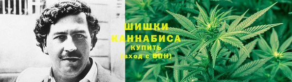 прущие грибы Белоозёрский
