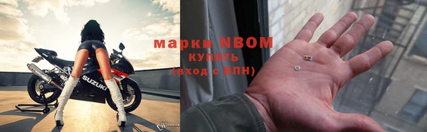 прущие грибы Белоозёрский