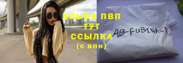 прущие грибы Белоозёрский