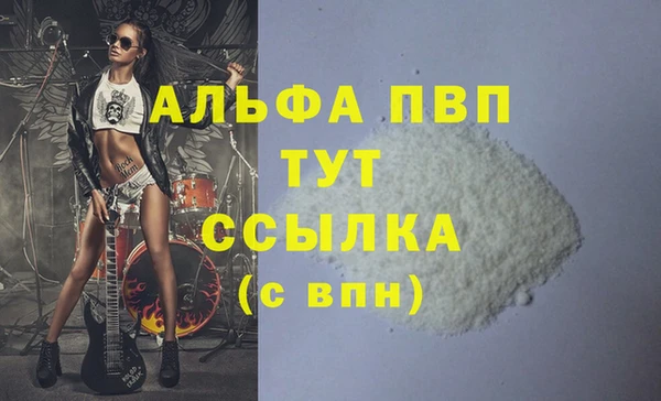 прущие грибы Белоозёрский