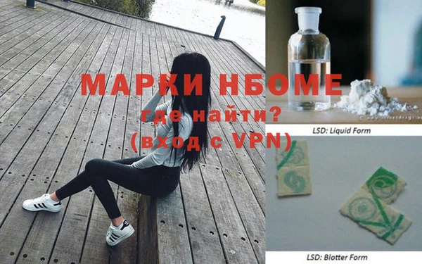 прущие грибы Белоозёрский