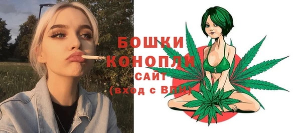 прущие грибы Белоозёрский